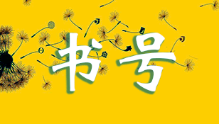 书号区